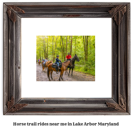 horse trail rides near me in Lake Arbor, Maryland